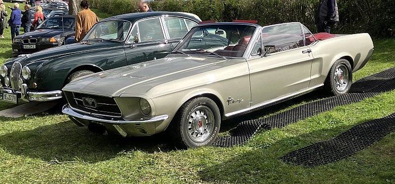 67_CV.jpg