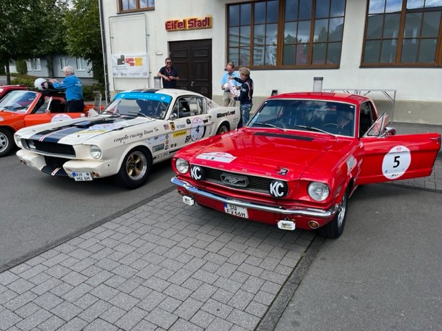 2 Mustangs.jpg