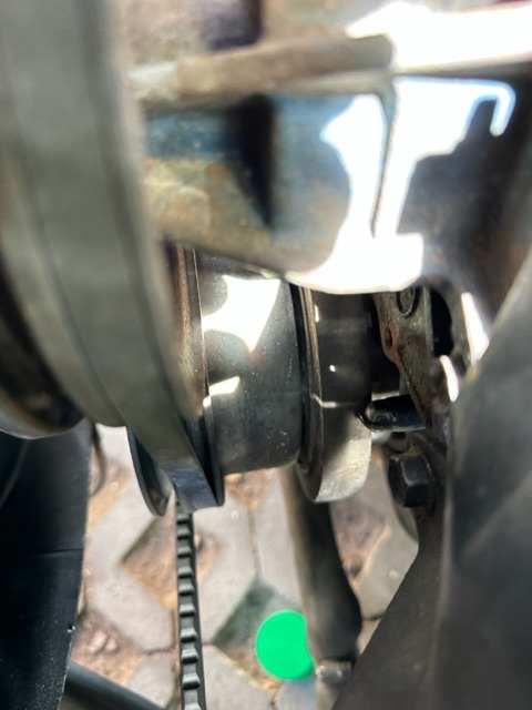 IMG_1943.jpeg