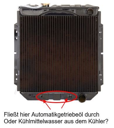 Kühler Mustang.JPG