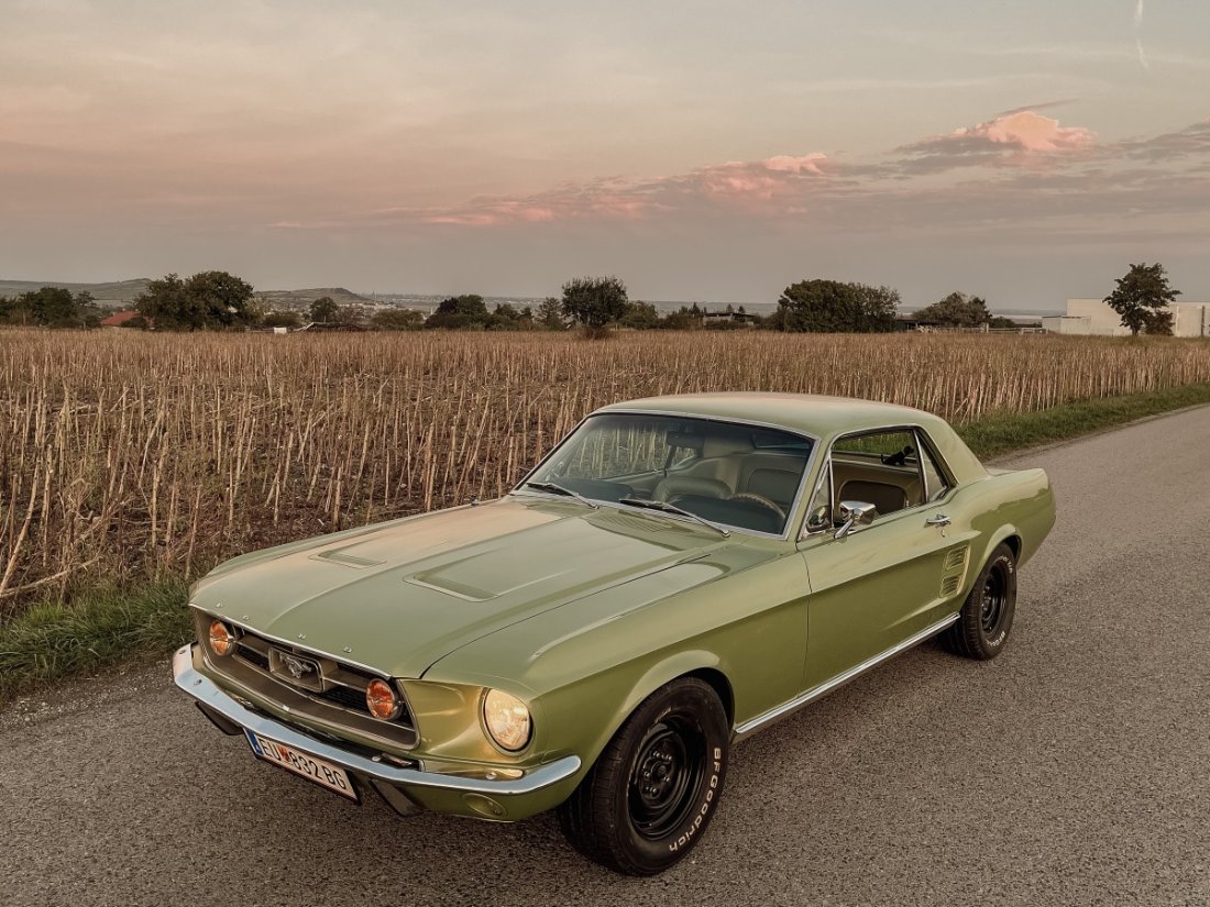 Mustang1-1 - Kopie.jpg