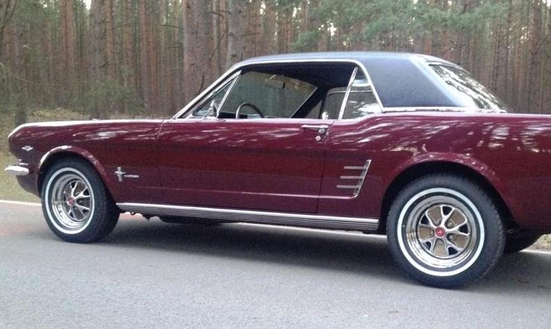 Mustang 248.jpg