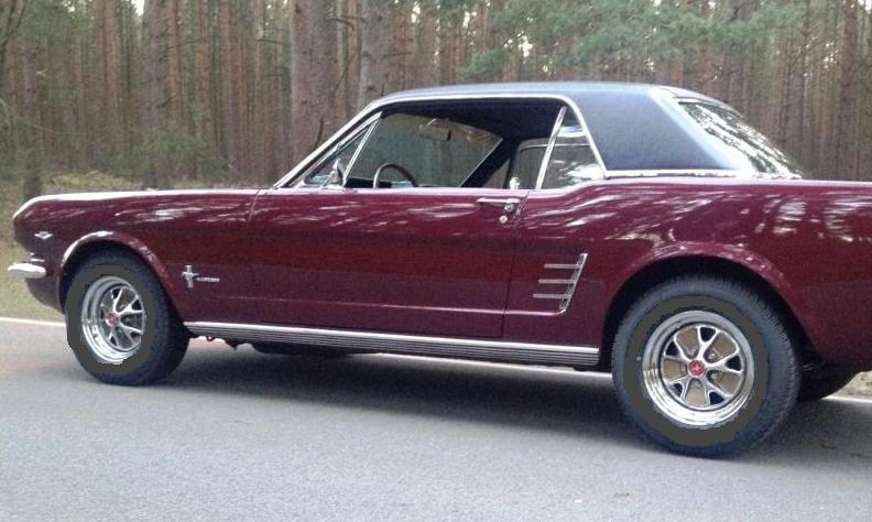 Mustang 248.jpg