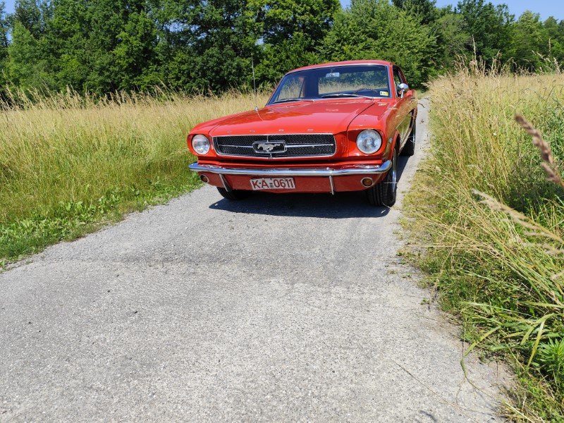 IMG_20240626_113915 (Mittel).jpg