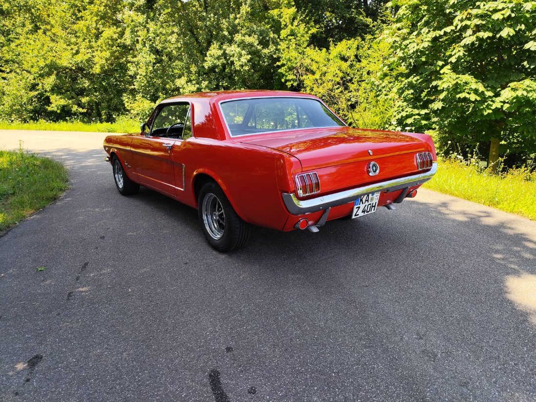 WhatsApp Image 2024-07-16 at 12.27.26.jpeg