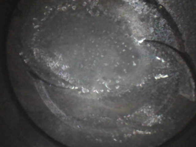 IMG_0369.jpeg