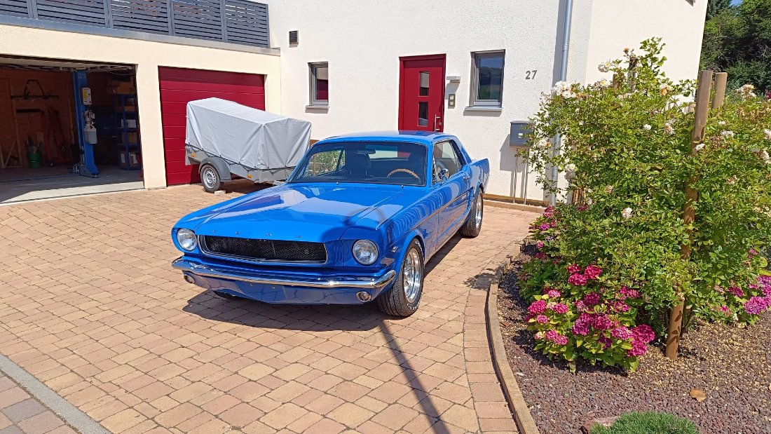 WhatsApp Image 2024-06-26 at 15.24.46.jpeg