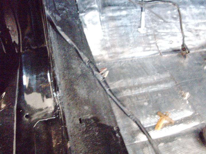 PICT0313.jpg