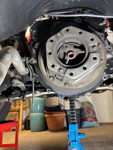 Mittel (IMG_3714).jpeg