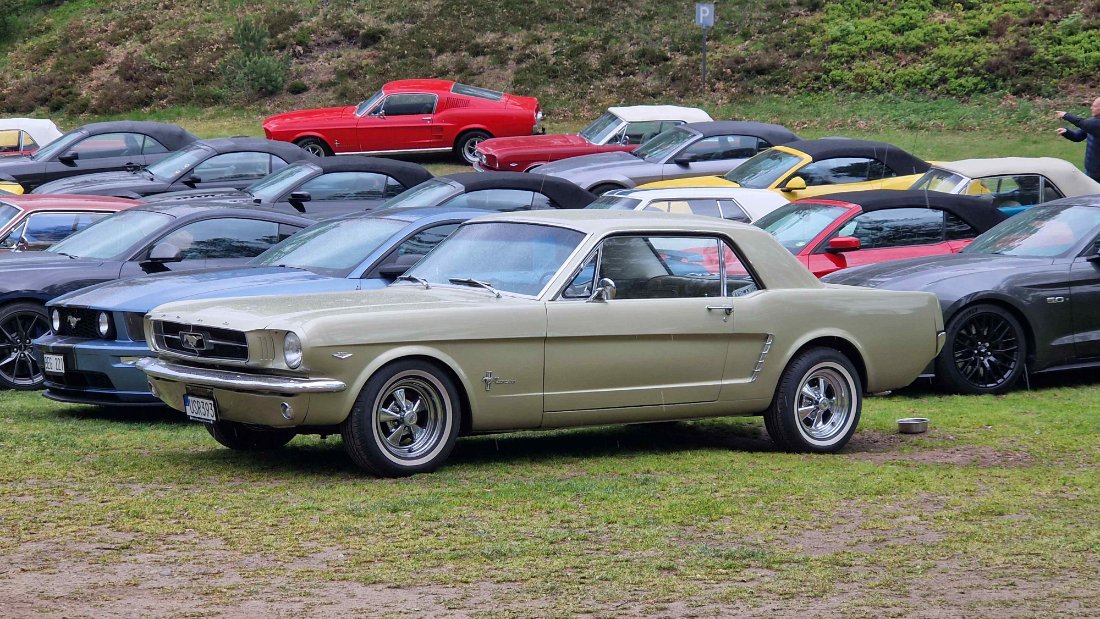Mustang träff Värnamo (21).jpg