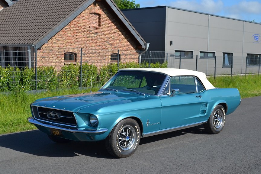 DSC_1514a.jpg