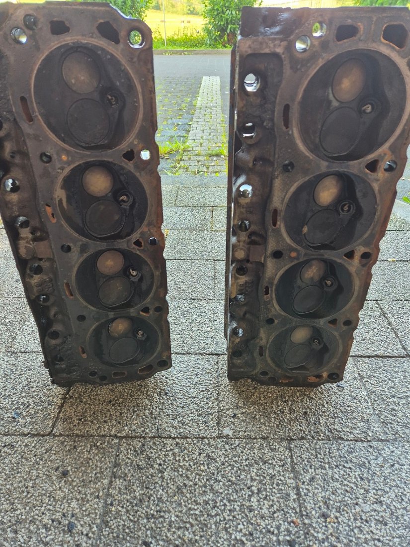 kopf1.jpg