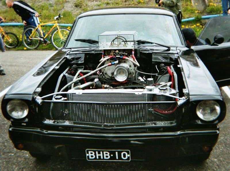 FIN_custom.jpg