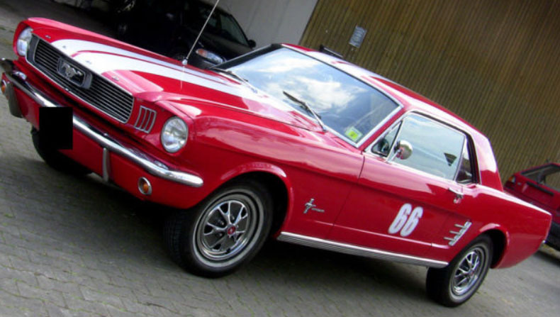 stang.jpg