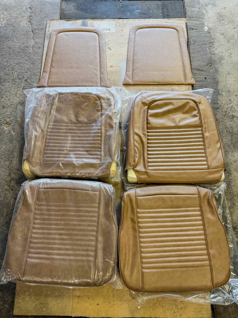 Mustang Verkauf-23.jpg