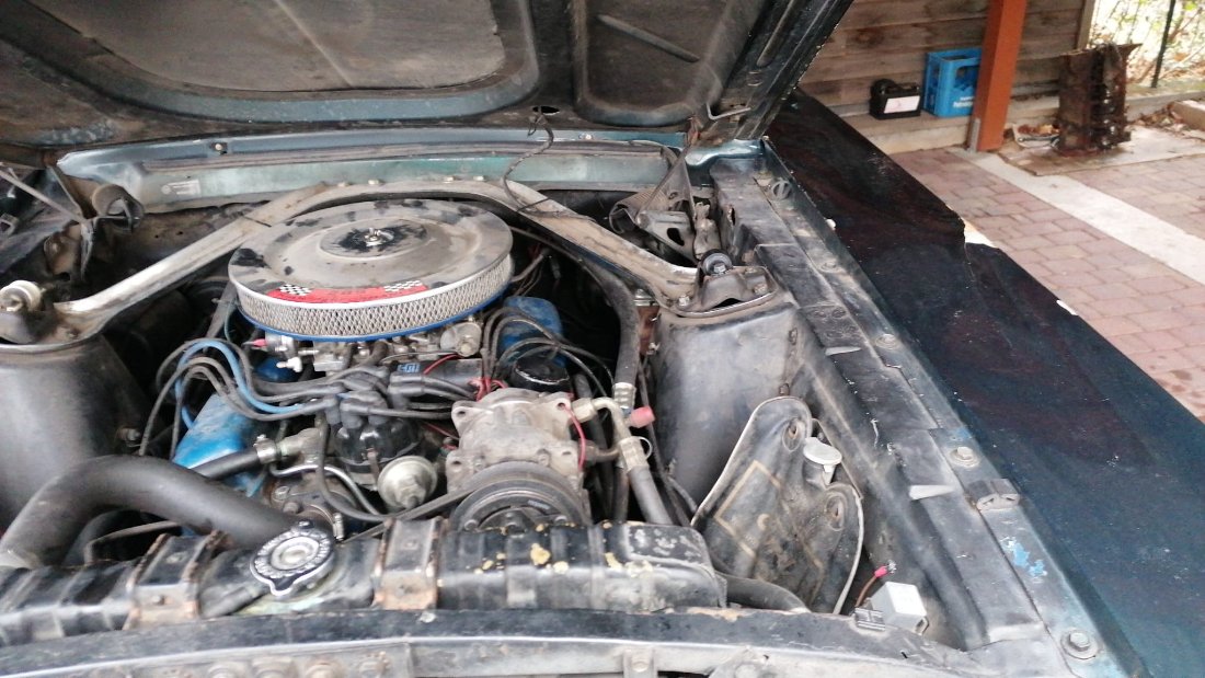 WhatsApp Image 2025-12-29 at 10.49.50 (1).jpeg