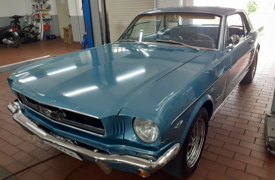 Mustang 2.jpg