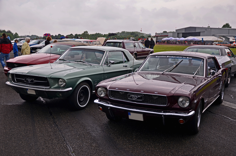 DSC_0188_1.jpg