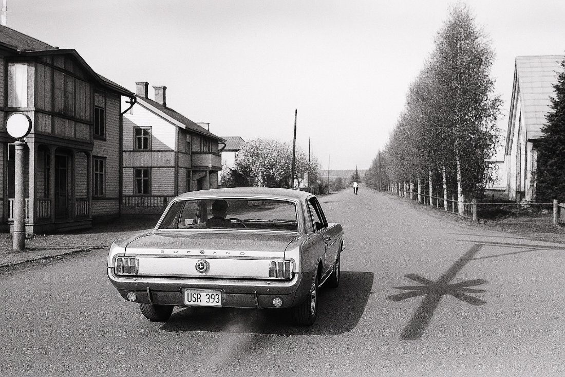 Mustangen i Stockaryd