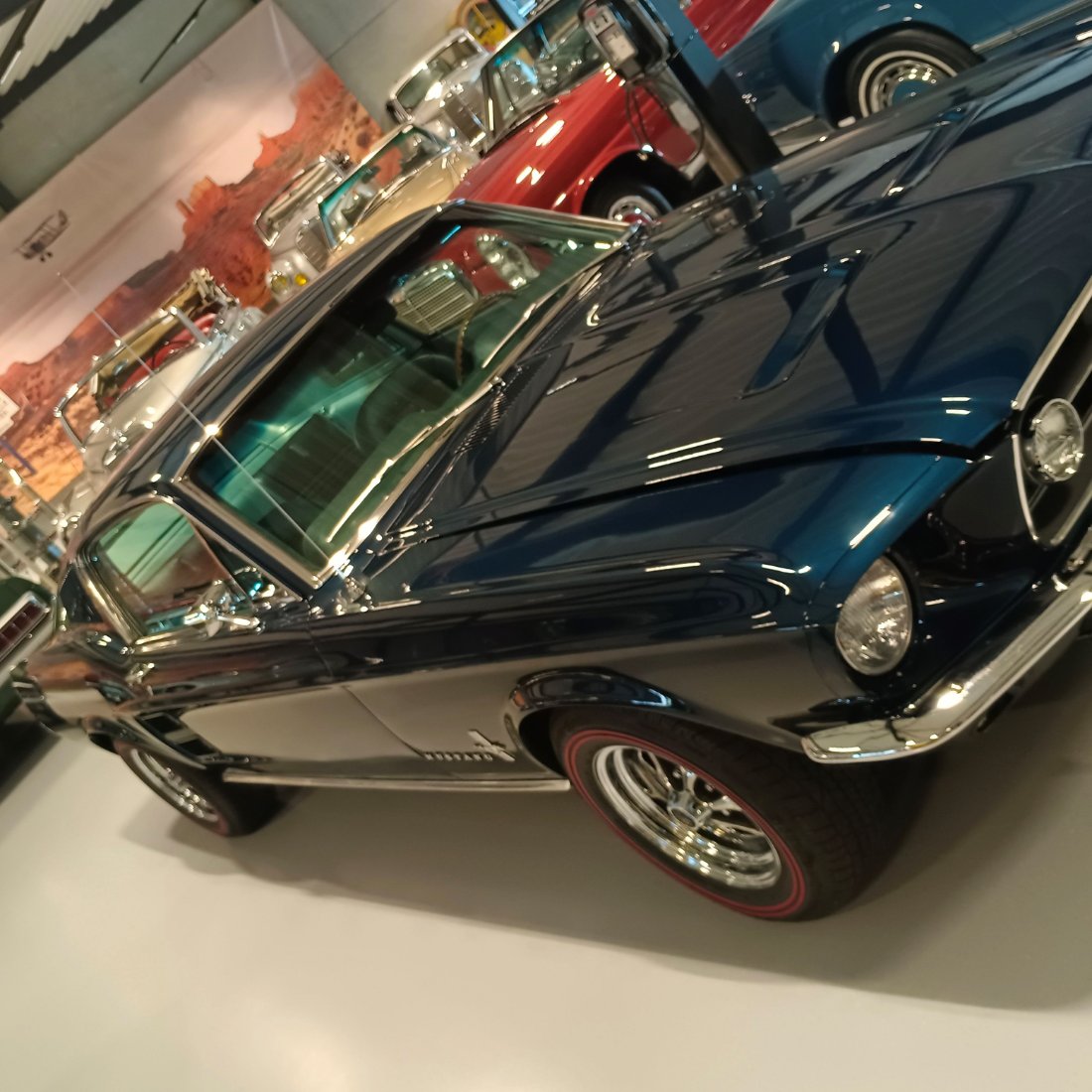 IMG_20260320_160439 klein.jpg