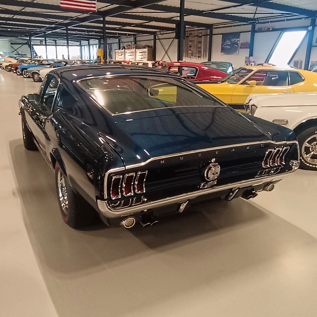 IMG_20260320_160313 k1.jpg