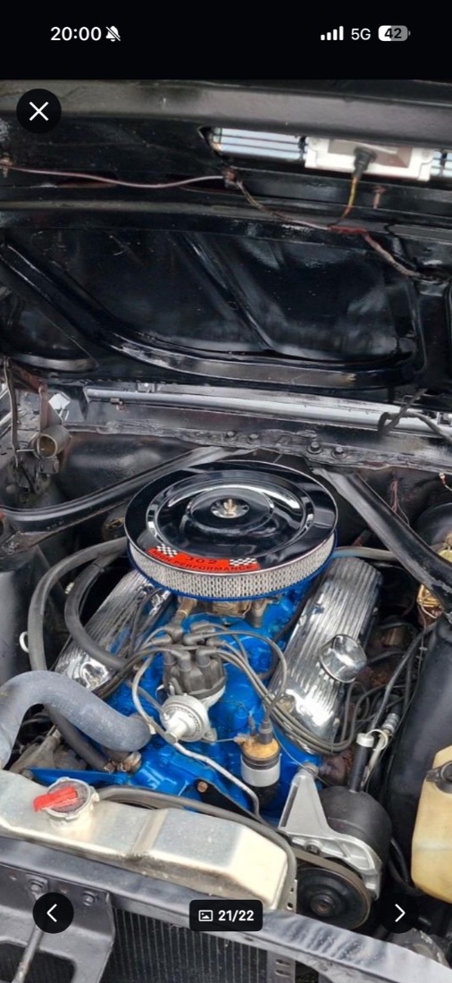 IMG_1217_compressed.jpg