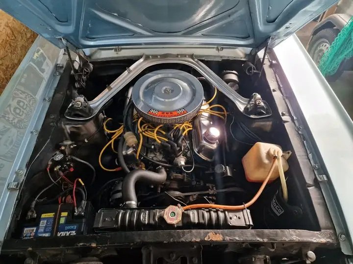 Mustang 4.jpg
