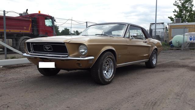 20140508_145044.jpg