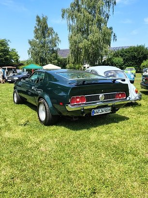 IMG_20260621_121309572_HDR.jpg