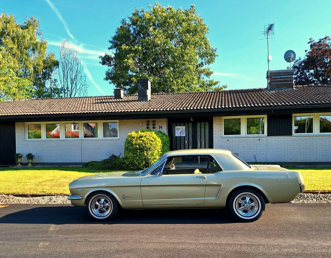 Mustang Fahrwerk