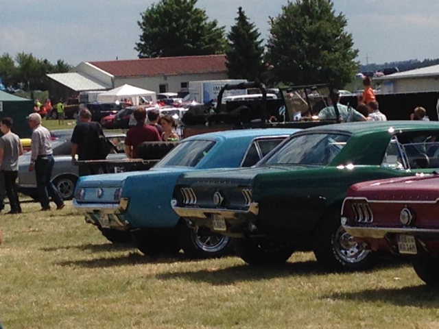 Eutingen 01.06.2014 02