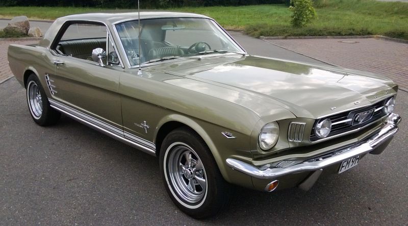 600x800.jpg