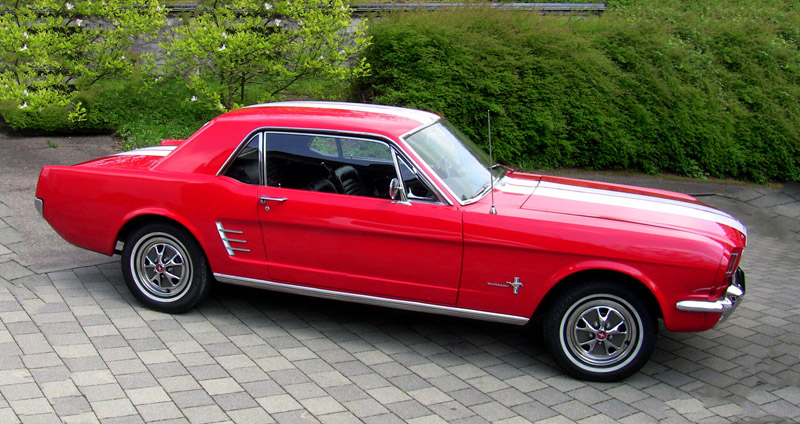 mustang2.jpg