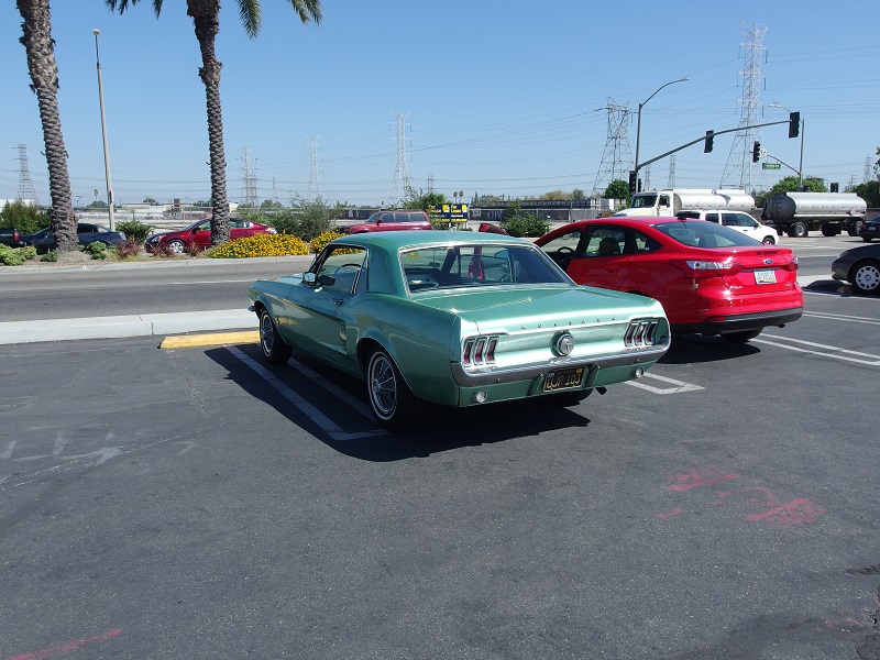 test7.jpg