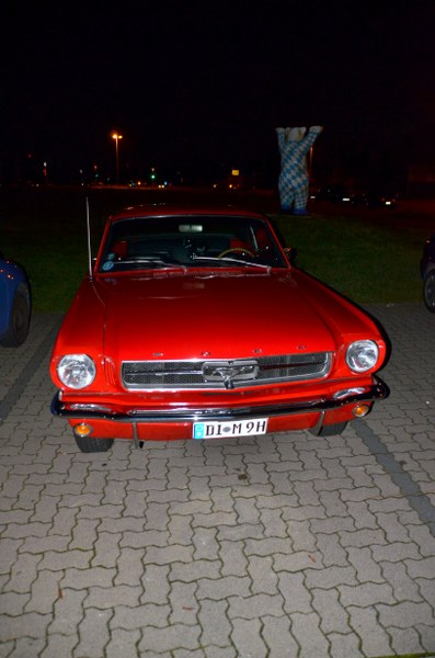DSC_3675_397x600.JPG