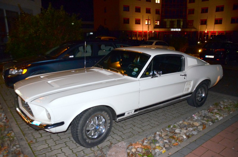 DSC_3693_800x530.JPG