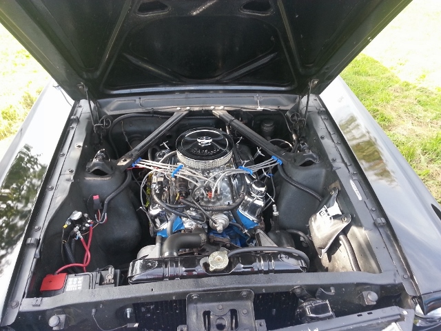 20140928_161426 (1024x768) (640x480) (2).jpg