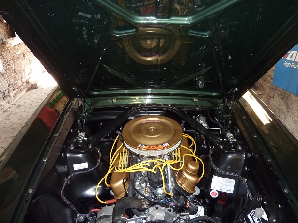 P1070779_1.jpg